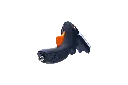 FlyerX Bottom.webp