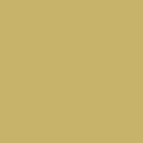 71106-Model-Air.webp
