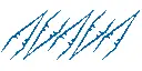 5 Plastikpinzetten (1/4 VE) (T12006)