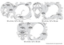 ARTOOL FH PKOS 2 Pack o' Skullz 2 (3 Stk.) Freihand Airbrush Schablonen von Scott Mackay (200529)