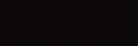 Wicked W031 Opaque Jet Black 60 ml