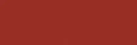 Wicked W074 Detail Burnt Sienna 60 ml