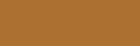 [116067] Wicked W067 Detail Raw Sienna 60 ml