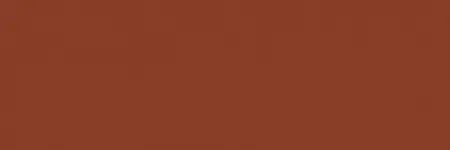 [116069] Wicked W069 Detail Burnt Umber 60 ml