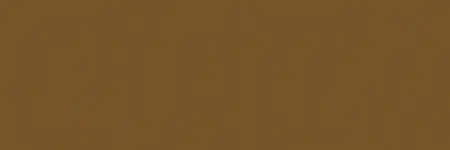 [116070] Wicked W070 Detail Sepia 60 ml